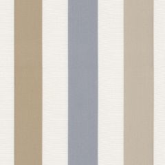 Kravet Couture Jans Stripe Pewter 34118-1611 Multipurpose Fabric
