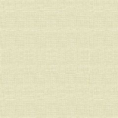 Lee Jofa Hampton Linen Silver 2012171-2211 Multipurpose Fabric