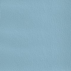 Olympus Ice Blue OLY295ADF Multipurpose Upholstery Fabric