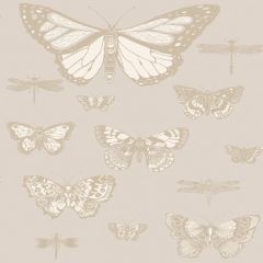 Cole and Son Butterflies and Dragonflies Grey 103-15064 Whimsical Collection Wall Covering