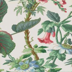 F Schumacher Palmetto Garden Tropic 172951 Indoor Upholstery Fabric