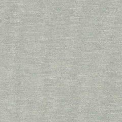 Robert Allen Boucle Glam Water 260513 Boucle Textures Collection Indoor Upholstery Fabric