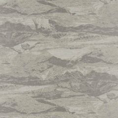 Clarke and Clarke Pebble F1104-03 Olympus Collection Drapery Fabric