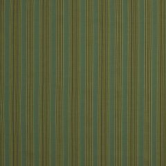 Robert Allen Abril Stripe Aloe 211299 Indoor Upholstery Fabric