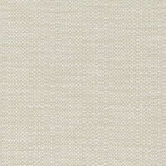 Perennials Raffia Chalk 210-224 Clodagh Collection Upholstery Fabric