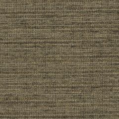 Robert Allen Piero Slate 180357 Indoor Upholstery Fabric