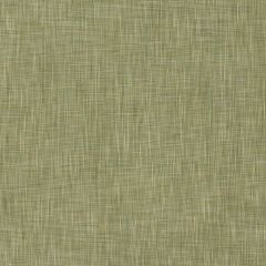 Robert Allen Priatta Lettuce 508690 Epicurean Collection Indoor Upholstery Fabric