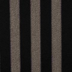 Sunbrella Centered Onyx 56109-0001 Balance Collection Upholstery Fabric