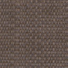 Perennials Wild and Wooly Sable 976-244 Rodeo Drive Collection Upholstery Fabric