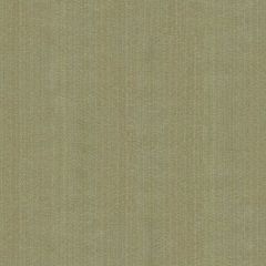 Kravet Contract Strie Velvet 33353-521 Guaranteed in Stock Indoor Upholstery Fabric