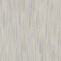 Duralee Wisteria 36291-241 Decor Fabric