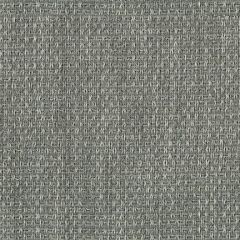 Endurepel Shaffer Dim Grey 9003 Indoor Upholstery Fabric