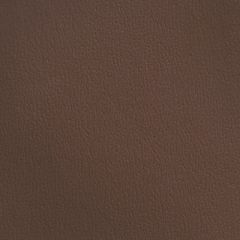 Olympus Earth OLY255ADF Multipurpose Upholstery Fabric