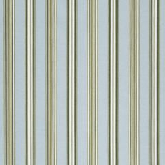 Robert Allen Ren Stripe Rr Dew 246216 Multipurpose Fabric