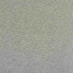 Kravet Contract Hedy Alloy 4289-11 Wide Illusions Collection Drapery Fabric