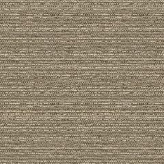 Kravet Changi Mica 31902-16 by Candice Olson Indoor Upholstery Fabric