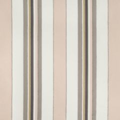 Kravet Linework Blush 35357-1117 Amusements Collection by Kate Spade Multipurpose Fabric