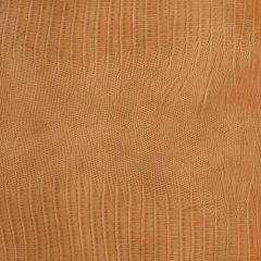 Kravet Namaqua Brown 616 Indoor Upholstery Fabric