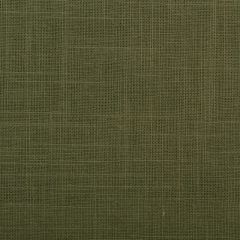 Duralee 32538 Green 2 Indoor Upholstery Fabric