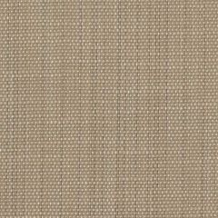 Perennials Rough Copy Sahara 956-229 Uncorked Collection Upholstery Fabric