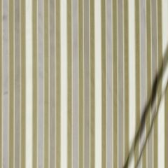 Beacon Hill Bourbon Stripe-Silver 198914 Decor Multi-Purpose Fabric