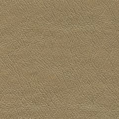 F. Schumacher Ultraleather Pearlized Mica 322-3174 Ultraleather Collection