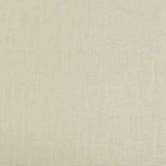 Kravet Basics 33120-1611 Multipurpose Fabric
