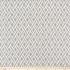 Premier Prints Eastwood Grey Luxe Polyester Garden Retreat Outdoor Collection Indoor-Outdoor Upholstery Fabric