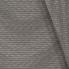 Robert Allen Contract Spring Dew Titanium 240566 Indoor Upholstery Fabric