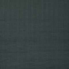 F. Schumacher Antique Strie Velvet Charcoal 43057 Chroma Collection Indoor Upholstery Fabric