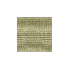 Kravet Basics  32290-3 Perfect Plains Collection Multipurpose Fabric