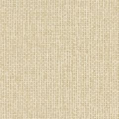 Kravet Raffia Natural AMW10034-16 Andrew Martin Museum Collection Wall Covering