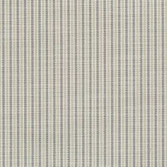 Perennials Tick Tock Stripe Tin 807-297 The Usual Suspects Collection Upholstery Fabric