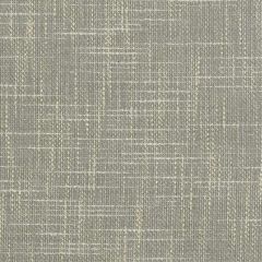 Duralee 36246 Pewter 296 Indoor Upholstery Fabric