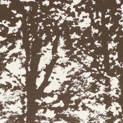 F Schumacher Woodland Bark 176212 Good Vibrations Collection Indoor Upholstery Fabric