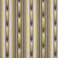 Robert Allen Ikat Stripe Greystone 217305 Color Library Collection Multipurpose Fabric
