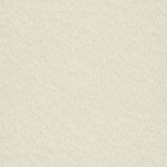 Beacon Hill Fine Boucle Ivory 241362 Plush Boucle Solids Indoor Upholstery Fabric