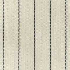Perennials Rough Outline Sea Salt 875-124 The Usual Suspects Collection Upholstery Fabric