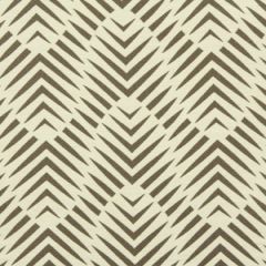 Robert Allen Sunbrella Palmwood Birch 228288 Dwell Studio Modern Bungalow Collection Upholstery Fabric