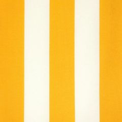 Premier Prints Vertical Citrus Yellow Indoor-Outdoor Upholstery Fabric