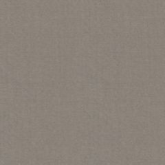 Kravet Endure Greystone 29800-11 Indoor Upholstery Fabric