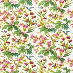F Schumacher Seychelles Ivory 175701 Print Happy Collection Indoor Upholstery Fabric