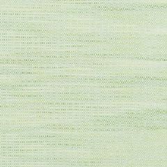 Duralee 32758 Celery 533 Indoor Upholstery Fabric