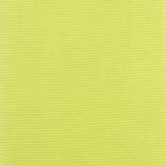 Duralee 15374 579-Peridot 338167 By Eileen Kathryn Boyd Indoor Upholstery Fabric