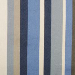 Duralee 15367 422-Bluejay 338743 By Eileen Kathryn Boyd Indoor Upholstery Fabric