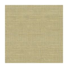 Kravet Couture  34014-16  Indoor Upholstery Fabric