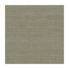 Kravet Couture  34014-21  Indoor Upholstery Fabric