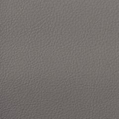 Aura Retreat Cloudburst SCL-040 Upholstery Fabric