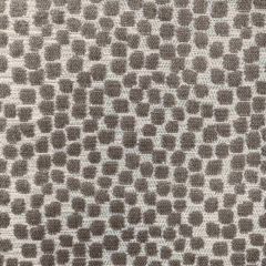 Kravet Design Flurries Grey 34849-11 by Thom Filicia Indoor Upholstery Fabric