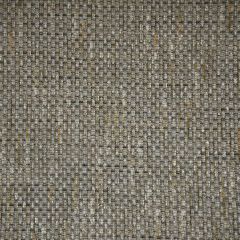 Kravet Couture Walk About Anthracite 34876-1621 Modern Colors-Sojourn Collection Indoor Upholstery Fabric